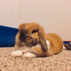 Meet your Posher, Michaela